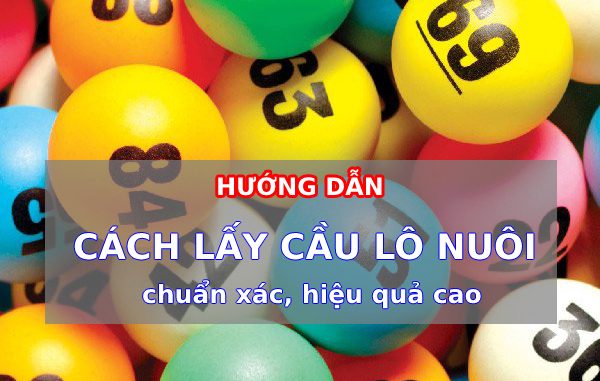 Hướng dẫn cách lấy cầu lô chuẩn xác, hiệu quả